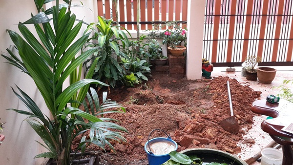 �Ѵ�ǹ��ҧ��ҹ��鹷��᤺ � ������