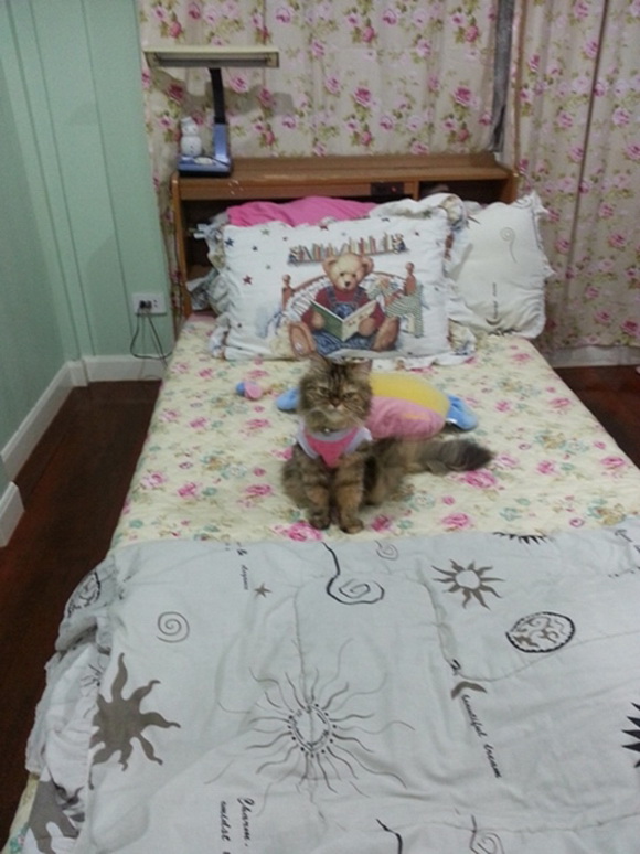 Renovate ��ͧ�͹��� �������ͧ���ʹ��ҹ