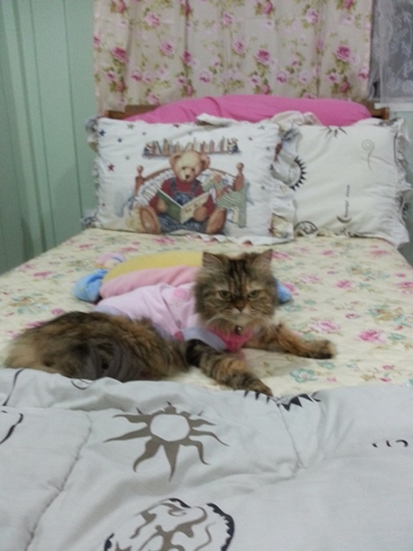 Renovate ��ͧ�͹��� �������ͧ���ʹ��ҹ