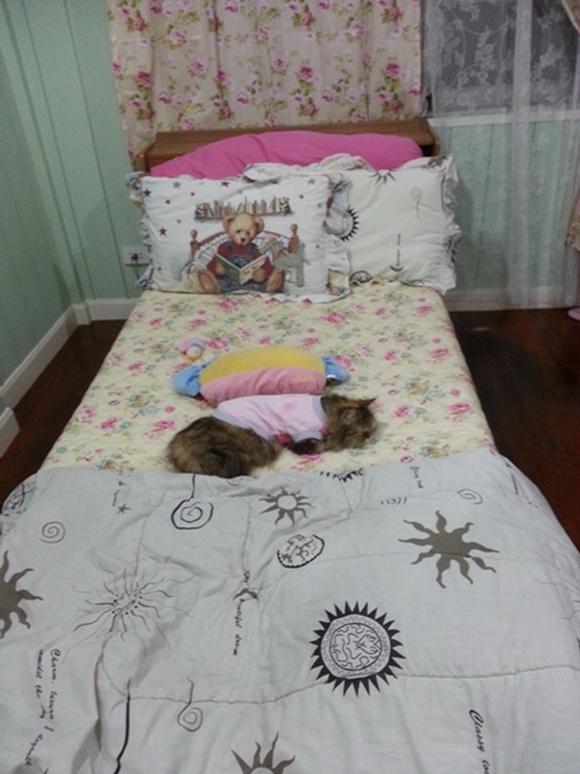 Renovate ��ͧ�͹��� �������ͧ���ʹ��ҹ