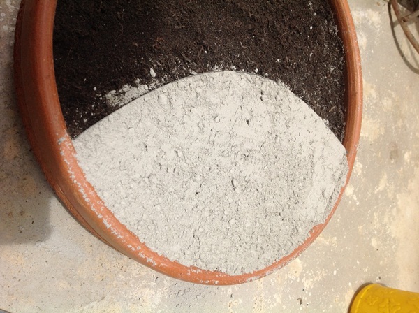 �Ѵ�ǹ�Ҵ�ҤҶ١ �駺�� 285 �ҷ