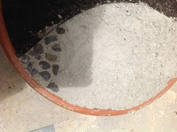 �Ѵ�ǹ�Ҵ�ҤҶ١ �駺�� 285 �ҷ