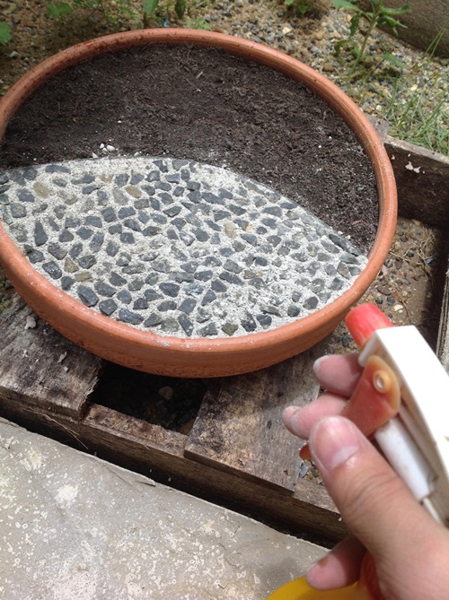 �Ѵ�ǹ�Ҵ�ҤҶ١ �駺�� 285 �ҷ