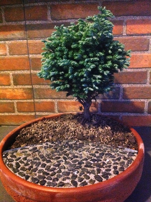 �Ѵ�ǹ�Ҵ�ҤҶ١ �駺�� 285 �ҷ