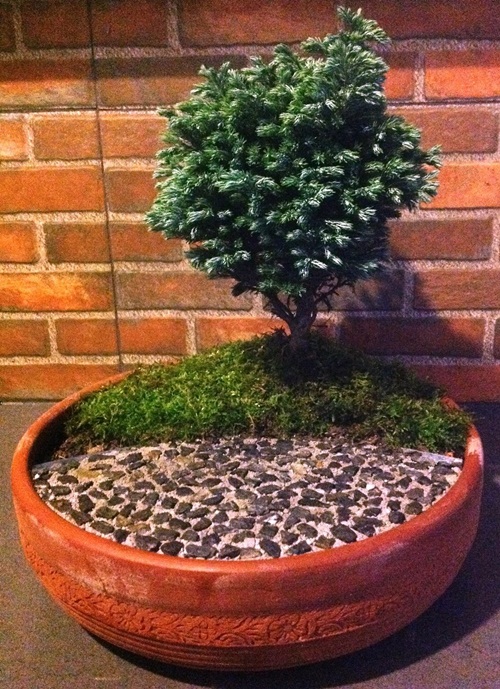 �Ѵ�ǹ�Ҵ�ҤҶ١ �駺�� 285 �ҷ