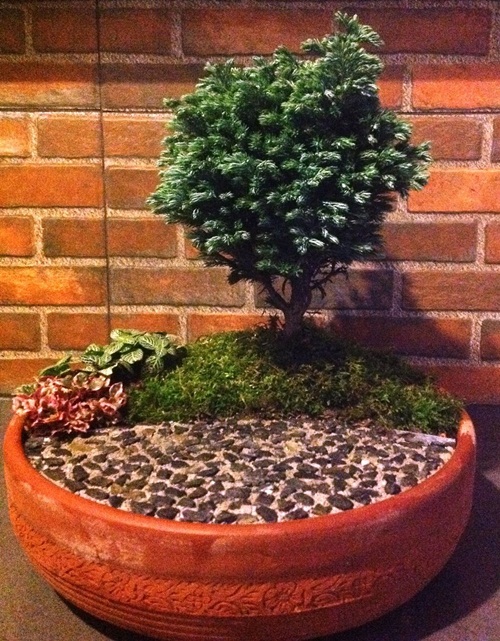 �Ѵ�ǹ�Ҵ�ҤҶ١ �駺�� 285 �ҷ