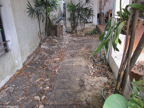 ����¹��鹷��á � ������� ������Ժ��Ὺ�� �