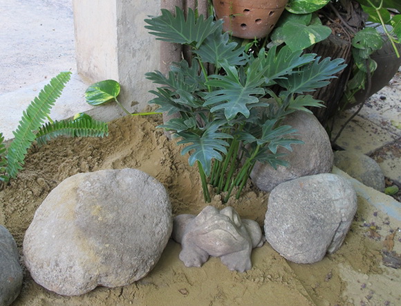 ����¹��鹷��á � ������� ������Ժ��Ὺ�� �