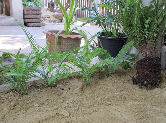 ����¹��鹷��á � ������� ������Ժ��Ὺ�� �