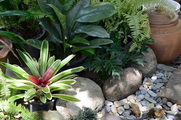 ����¹��鹷��á � ������� ������Ժ��Ὺ�� �