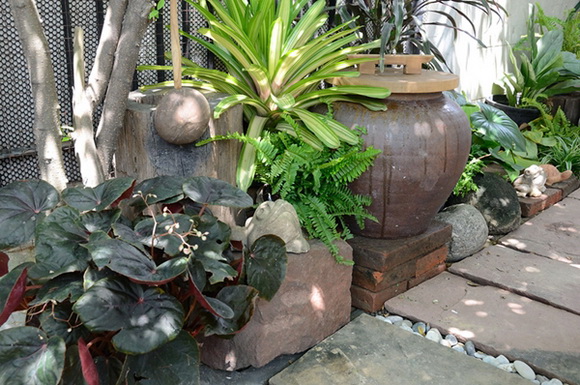 ����¹��鹷��á � ������� ������Ժ��Ὺ�� �