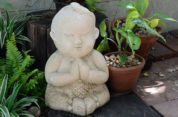 ����¹��鹷��á � ������� ������Ժ��Ὺ�� �