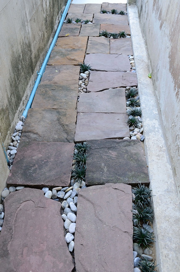 ����¹��鹷��á � ������� ������Ժ��Ὺ�� �