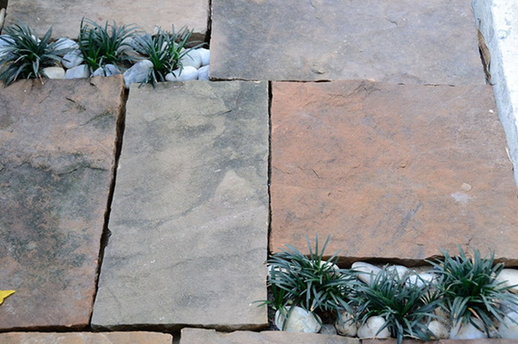 ����¹��鹷��á � ������� ������Ժ��Ὺ�� �