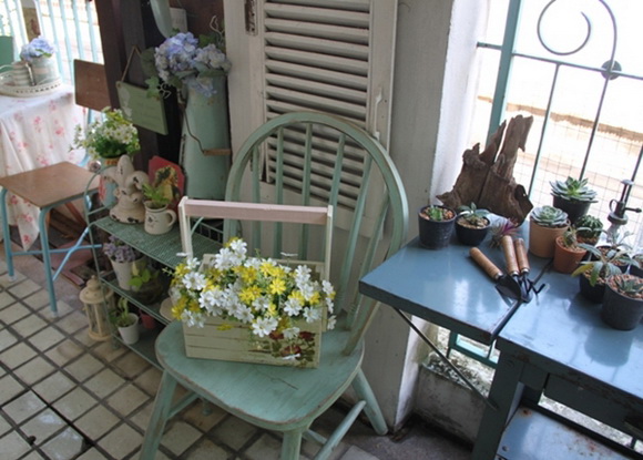 teraarium �ǹ�Ǵ���