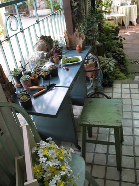 teraarium �ǹ�Ǵ���