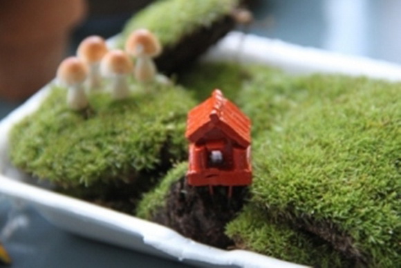 teraarium �ǹ�Ǵ���