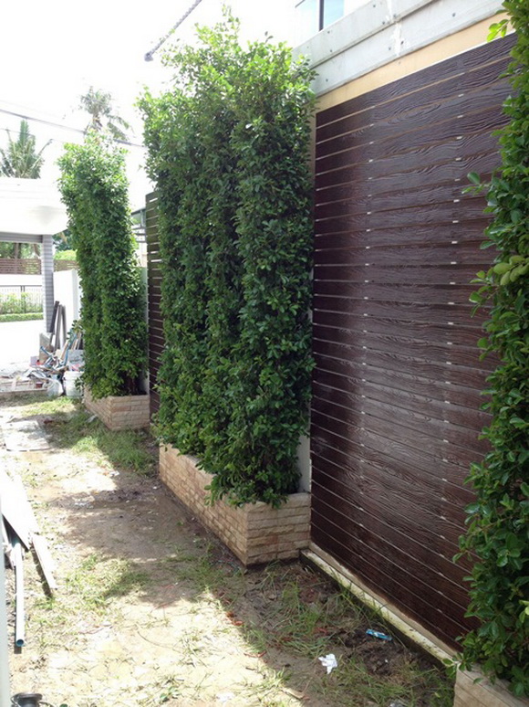  ����µ��觷�ǹ������� �������繺�ҹ�����