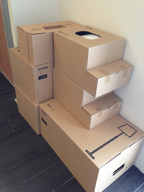 ����Ƿ��ǹ������� 3 ������ � �������駨���ͧ��� !