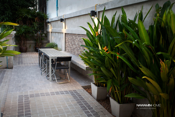 ����Ƿ��ǹ������� 3 ������ � �������駨���ͧ��� !