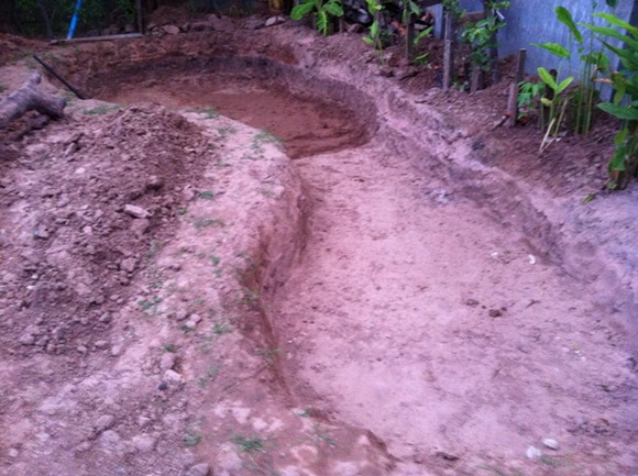 �ش��ͻ�Ҥ����ͧẺ�������� �ŧҹ������