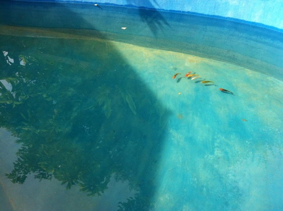 �ش��ͻ�Ҥ����ͧẺ�������� �ŧҹ������