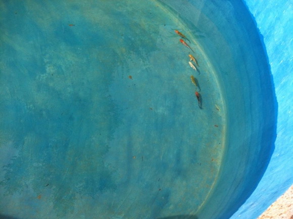 �ش��ͻ�Ҥ����ͧẺ�������� �ŧҹ������