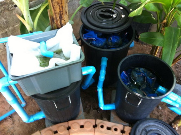 �ش��ͻ�Ҥ����ͧẺ�������� �ŧҹ������