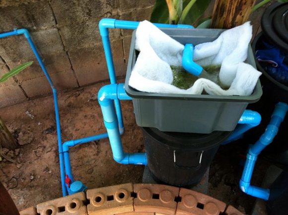 �ش��ͻ�Ҥ����ͧẺ�������� �ŧҹ������