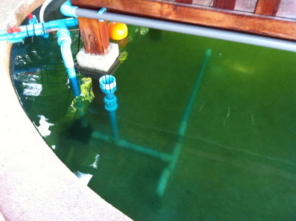 �ش��ͻ�Ҥ����ͧẺ�������� �ŧҹ������