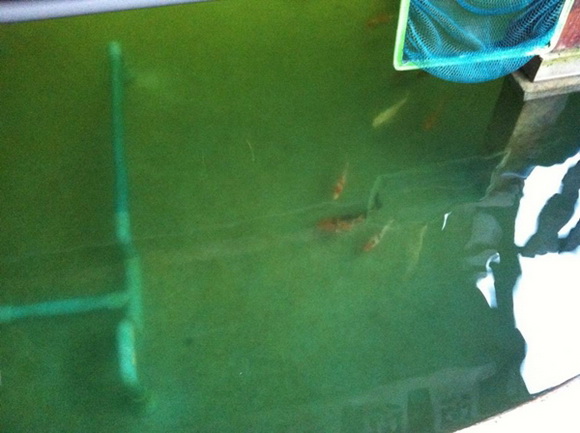 �ش��ͻ�Ҥ����ͧẺ�������� �ŧҹ������