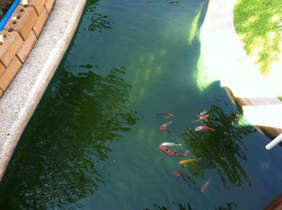 �ش��ͻ�Ҥ����ͧẺ�������� �ŧҹ������