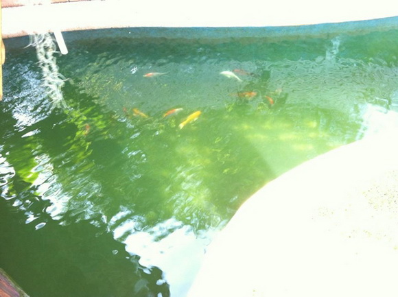 �ش��ͻ�Ҥ����ͧẺ�������� �ŧҹ������