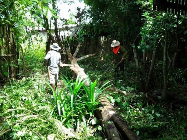 �ҡ��ҹ����������á��ҧ ����Ƿ�����繺�ҹ���������