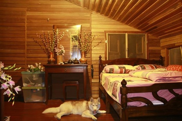 �ҡ��ҹ����������á��ҧ ����Ƿ�����繺�ҹ���������