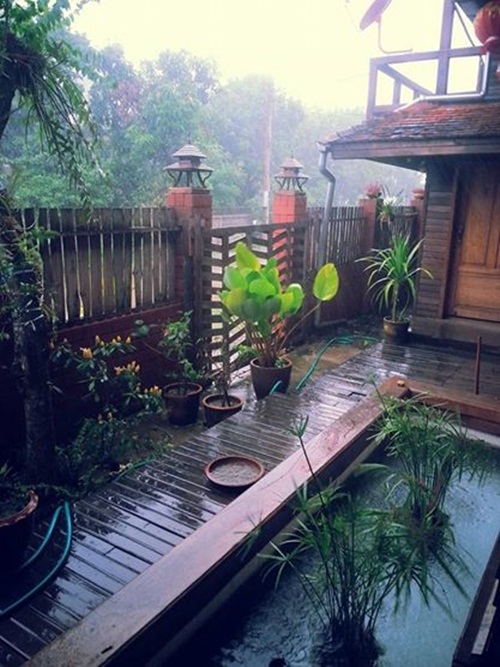 �ҡ��ҹ����������á��ҧ ����Ƿ�����繺�ҹ���������