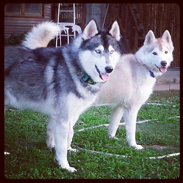 �ҡ��ҹ����������á��ҧ ����Ƿ�����繺�ҹ���������