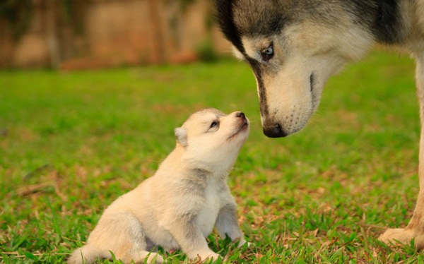 �ҡ��ҹ����������á��ҧ ����Ƿ�����繺�ҹ���������