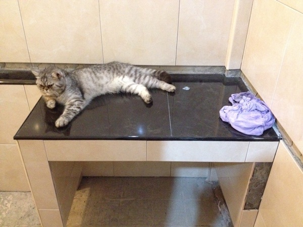 Renovate ��ͧ������ �غ��駷����訹��ͺ�������