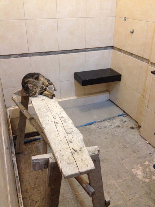 Renovate ��ͧ������ �غ��駷����訹��ͺ�������