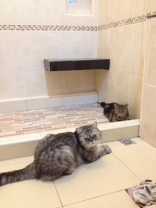 Renovate ��ͧ������ �غ��駷����訹��ͺ�������