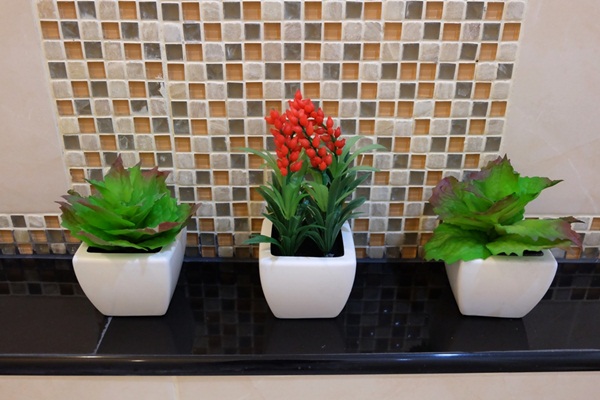 Renovate ��ͧ������ �غ��駷����訹��ͺ�������