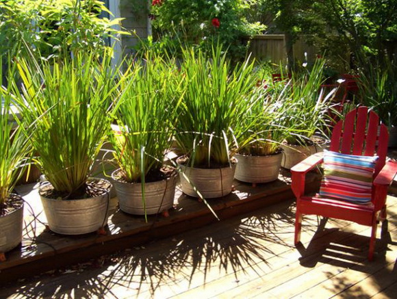 ��Ԥ�Ѵ�ǹ��ǹ������� 