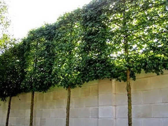 ��Ԥ�Ѵ�ǹ��ǹ������� 