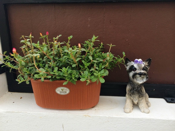 �Ѵ�ǹ�ѧ��ɴ��µ���ͧ��ѹ��ش �����Ѵ�Թ仵�� 2 ����