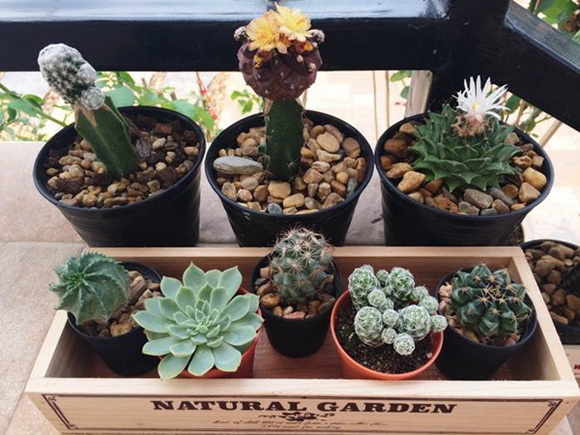 �Ѵ�ǹ�ѧ��ɴ��µ���ͧ��ѹ��ش �����Ѵ�Թ仵�� 2 ����