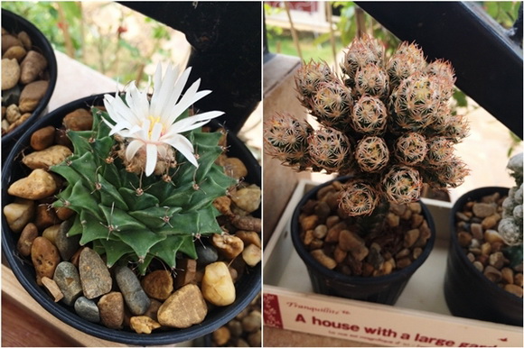 �Ѵ�ǹ�ѧ��ɴ��µ���ͧ��ѹ��ش �����Ѵ�Թ仵�� 2 ����