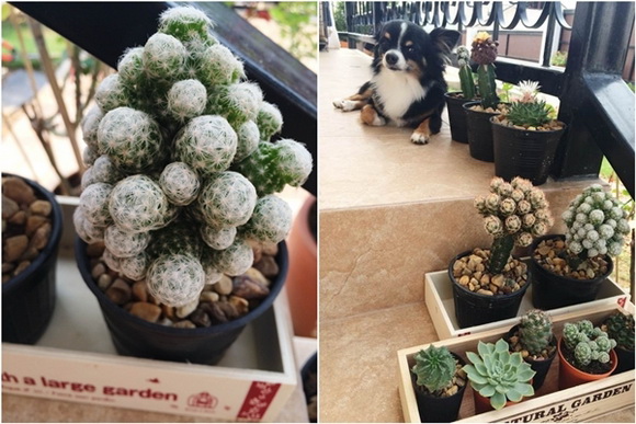 �Ѵ�ǹ�ѧ��ɴ��µ���ͧ��ѹ��ش �����Ѵ�Թ仵�� 2 ����