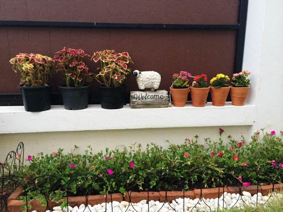 �Ѵ�ǹ�ѧ��ɴ��µ���ͧ��ѹ��ش �����Ѵ�Թ仵�� 2 ����