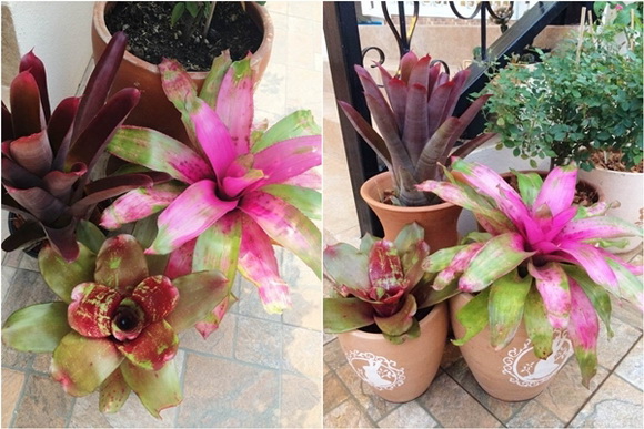 �Ѵ�ǹ�ѧ��ɴ��µ���ͧ��ѹ��ش �����Ѵ�Թ仵�� 2 ����